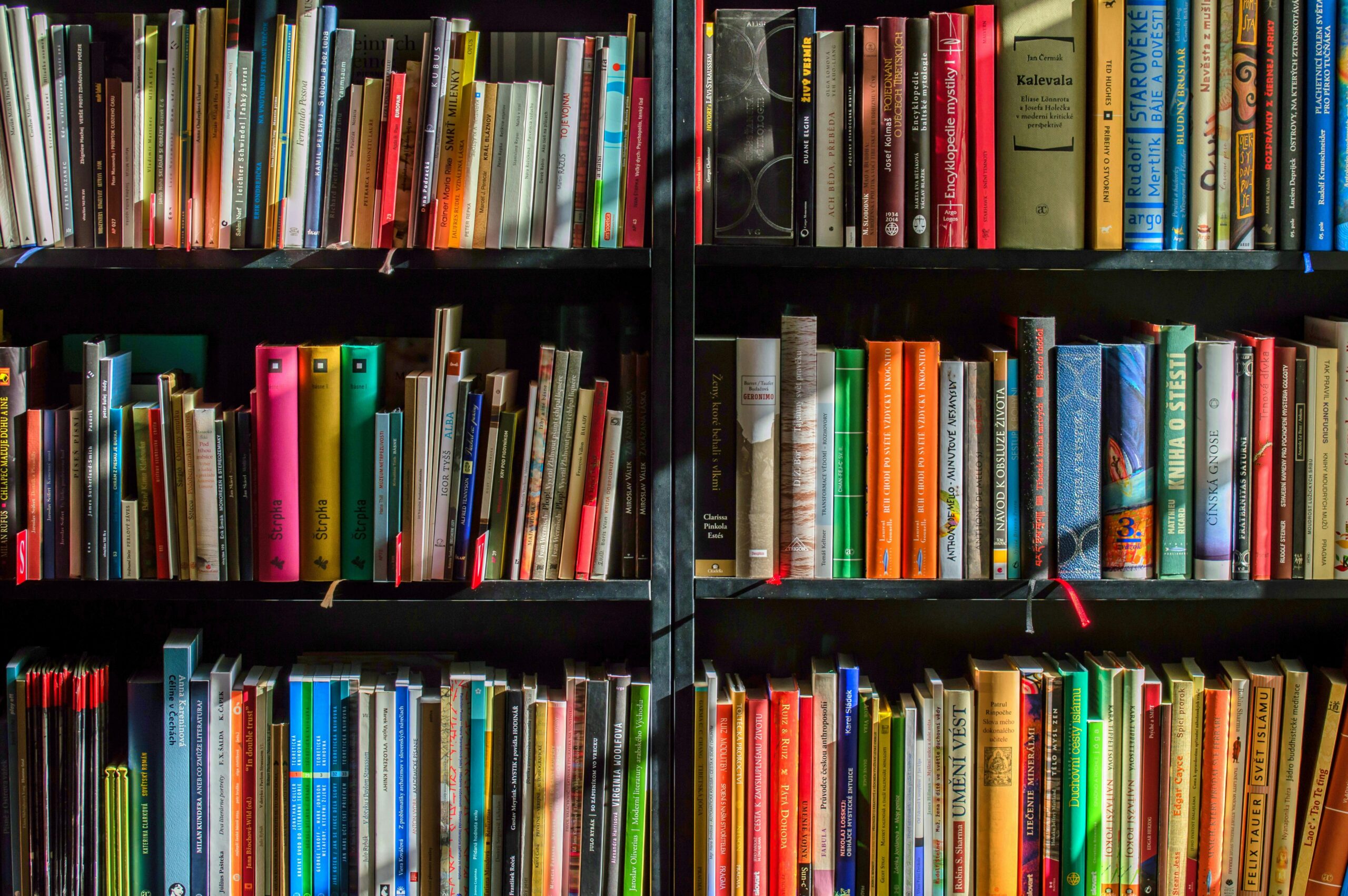 Read, Relax, Repeat: Books Beyond the Syllabus- Young Scholarz